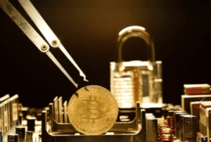 What Are Privacy Coins in Cryptocurrency?
